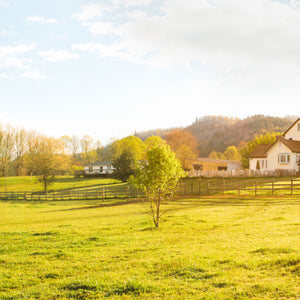 Farm Venue